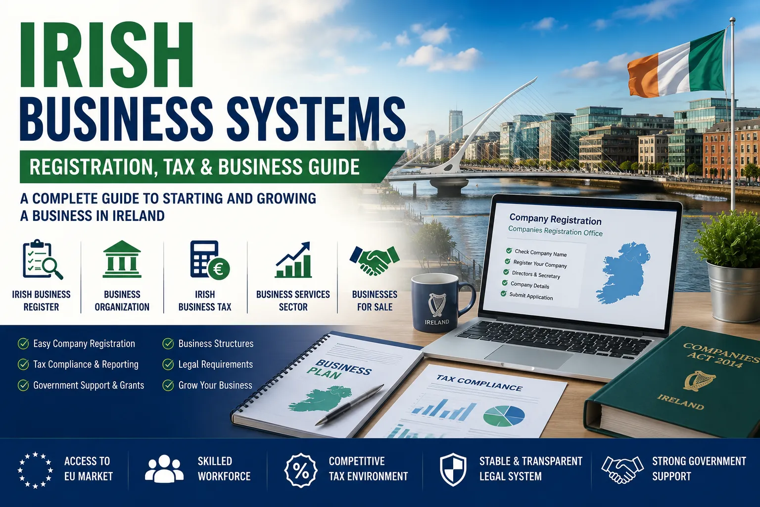Irish Business Systems A Complete Guide to Starting and Managing a Business in Ireland